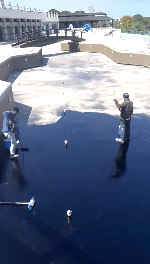 Merit Royal Premium - Görsel 3